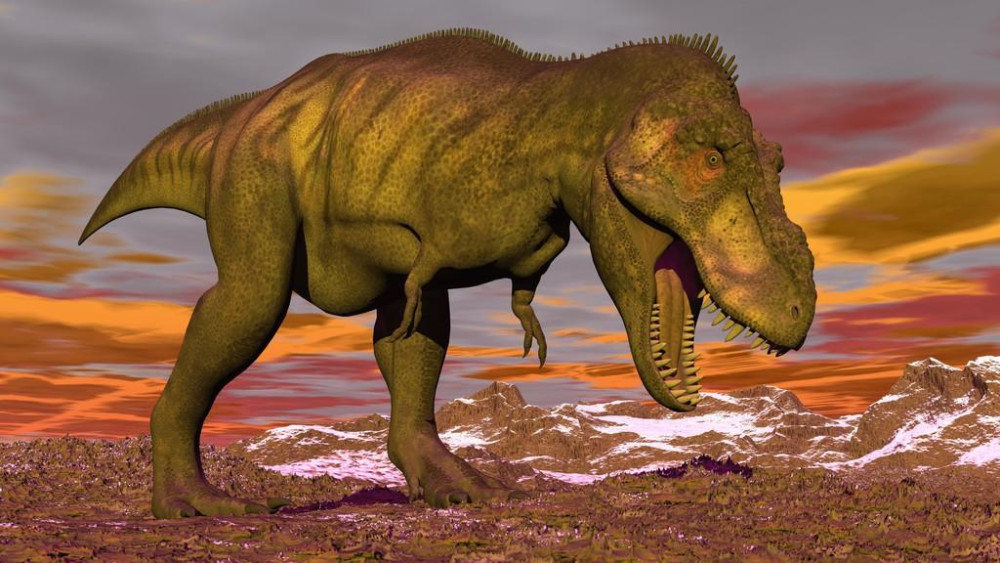  尤文弗拉霍维奇制霸禁区，塞尔维亚空霸统治高空